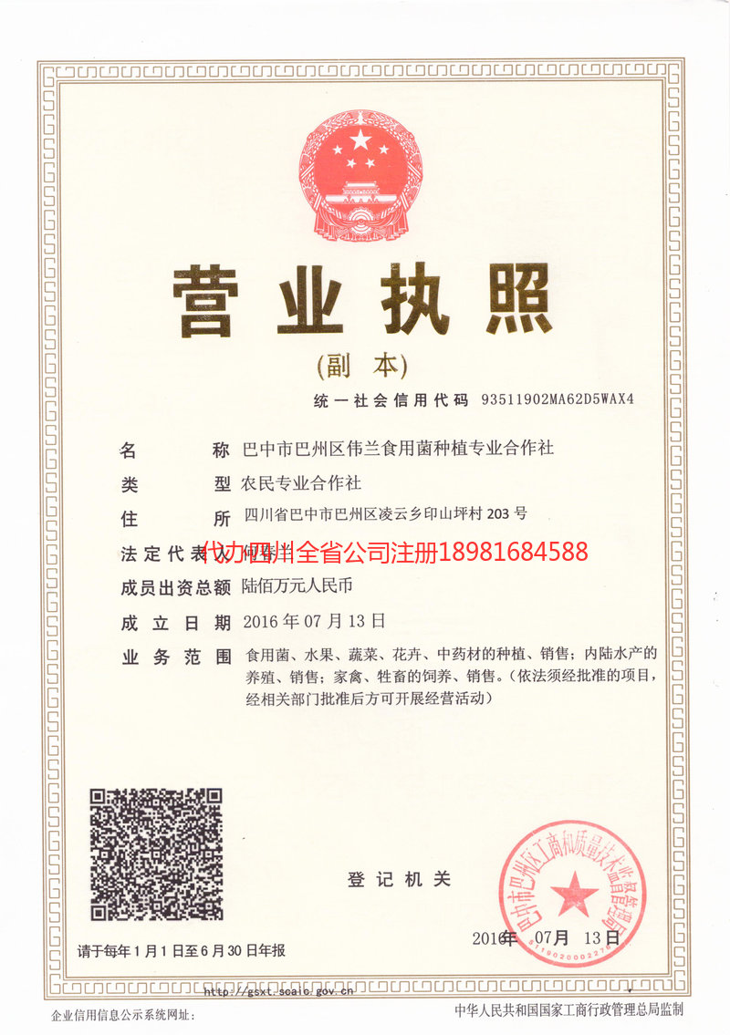 梅州梅州伟兰食用菌种植专业合作社